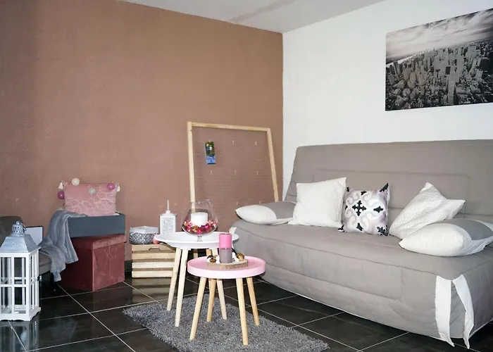 Les Agapanthes Du Frontonnais