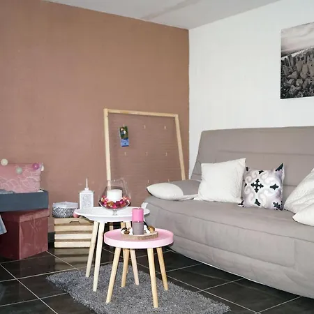 Les Agapanthes Du Frontonnais