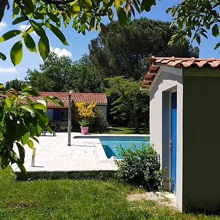 Les Agapanthes Du Frontonnais 3*